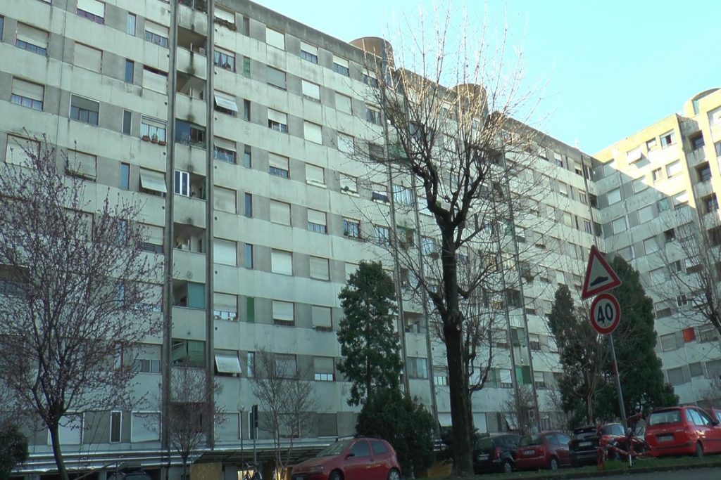 pro salomone