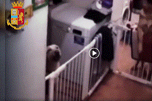 Fortino dello spaccio vigilato da cani e videocamere