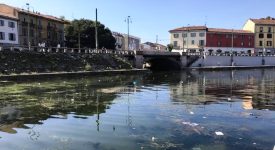 Darsena