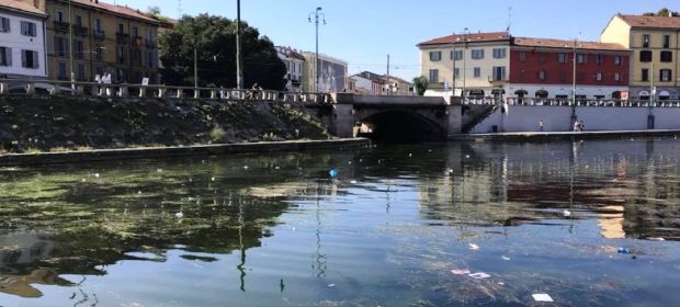 Darsena