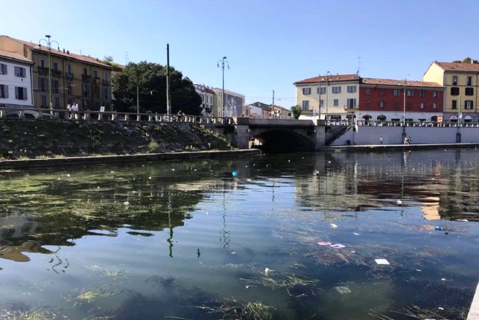 Darsena
