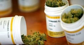 radicali Cannabis terapeutica