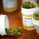 radicali Cannabis terapeutica