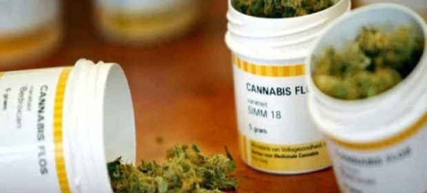 radicali Cannabis terapeutica