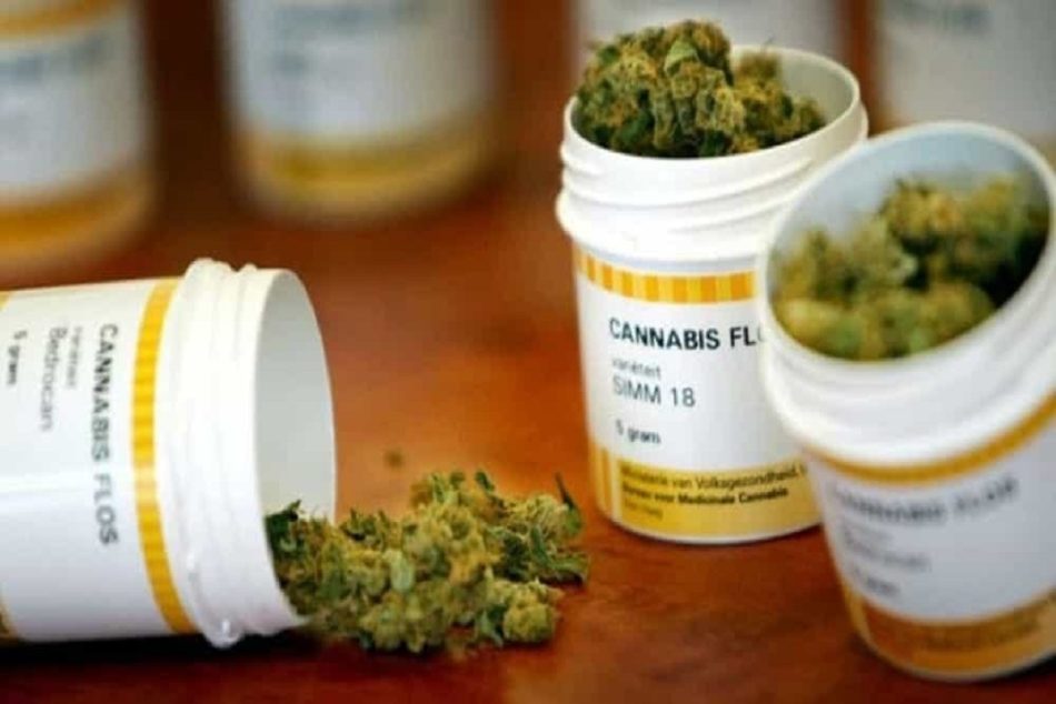 radicali Cannabis terapeutica