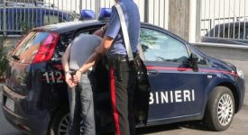 violenza domestica