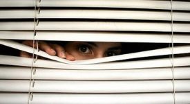 stalker