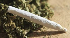 spacciava serra di marijuana via Rosselli cinese bulgaro marijuana 108 grammi di marijuana