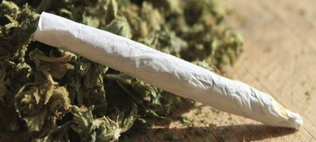 spacciava serra di marijuana via Rosselli cinese bulgaro marijuana 108 grammi di marijuana