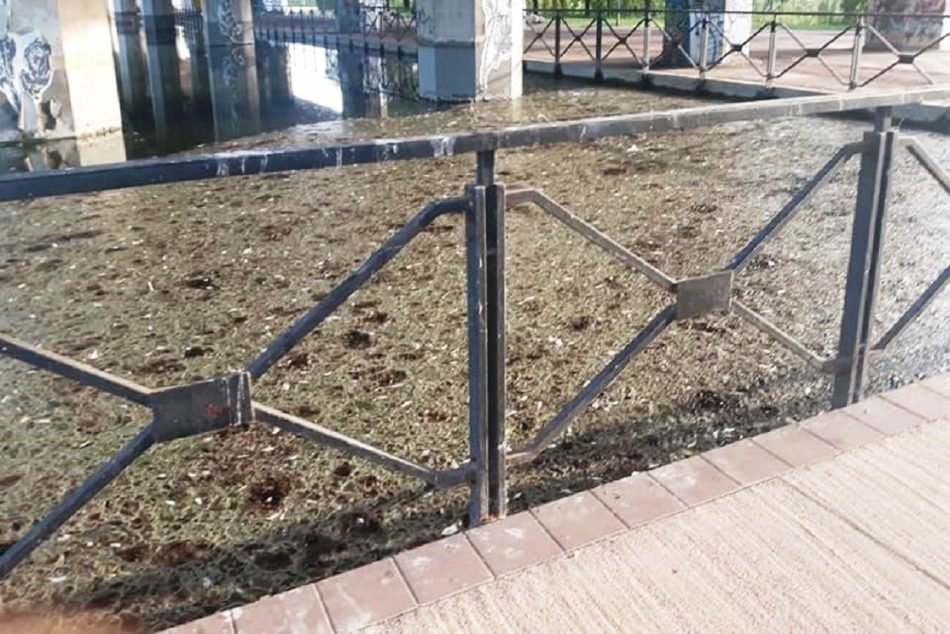 rubattino