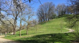 vivere il parco lambro