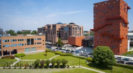 IULM