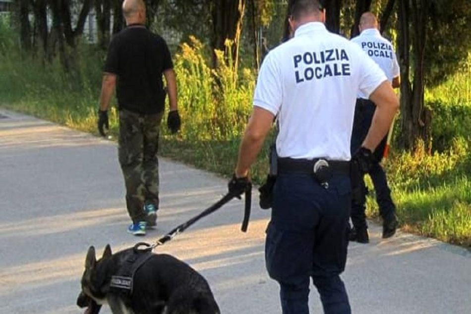 cani antidroga