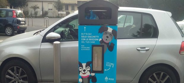 Veri amici?