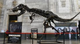 T-Rex