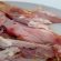 cibo immangiabile