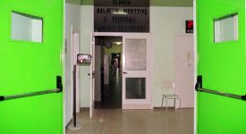 meningite