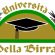 Università della birra