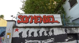 Soy Mendel