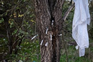 boschetto della droga terza morte
