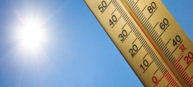 caldo