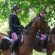 Polizia a Cavallo