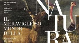 Il meraviglioso mondo della natura
