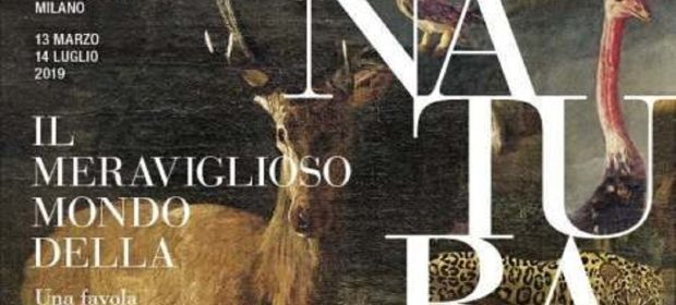 Il meraviglioso mondo della natura