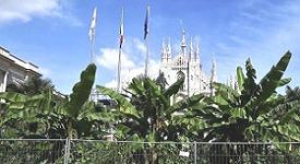 Piazza Duomo