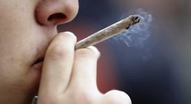 stordito dalla marijuana