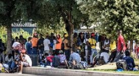 immigrati mezzi dell'AMSA