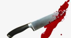 Accoltellamento mortale fra vicini in via Trilussa Rissa fra stranieri, un morto accoltellato sulla 90 Peruviano accoltella la compagna e fugge Misterioso accoltellamento nella notte di mercoledì Accoltella i vicini per la musica troppo alta via Cirié Ragazzo accoltellato durante una zuffa niguarda residente accoltellato il fratello Primaticcio