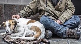 senzatetto con i loro cani