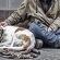 senzatetto con i loro cani