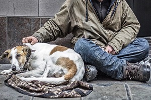 senzatetto con i loro cani