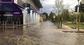 seveso