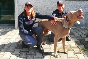liberano cane rapito