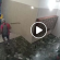 pregiudicato boliviano