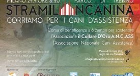 StraMilànCanina