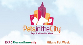 Pets in the city