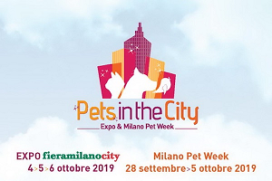 Pets in the city