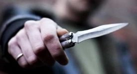 Sardone (Lega): accoltellamento al Parco Martesana. Situazione fuori controllo Algerino arrestato per avere sfregiato due marocchini Accoltellamento fra senzatetto in via Rembrand Tre accoltellati in una lite fra sudamericani Due accoltellati nel Parco martesana Accoltellò amico del figlio