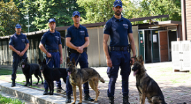 Cinque arresti in tre giorni polizia locale, cinofili