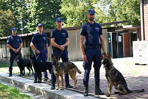 Cinque arresti in tre giorni polizia locale, cinofili