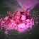 cocaina rosa