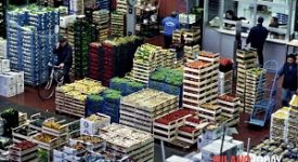 Tangenti all'Ortomercato