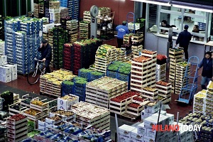 Tangenti all'Ortomercato