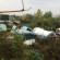 bidonville sulle sponde del Lambro