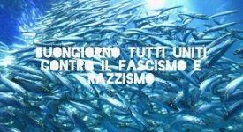 sardine