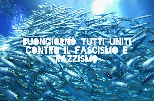 sardine